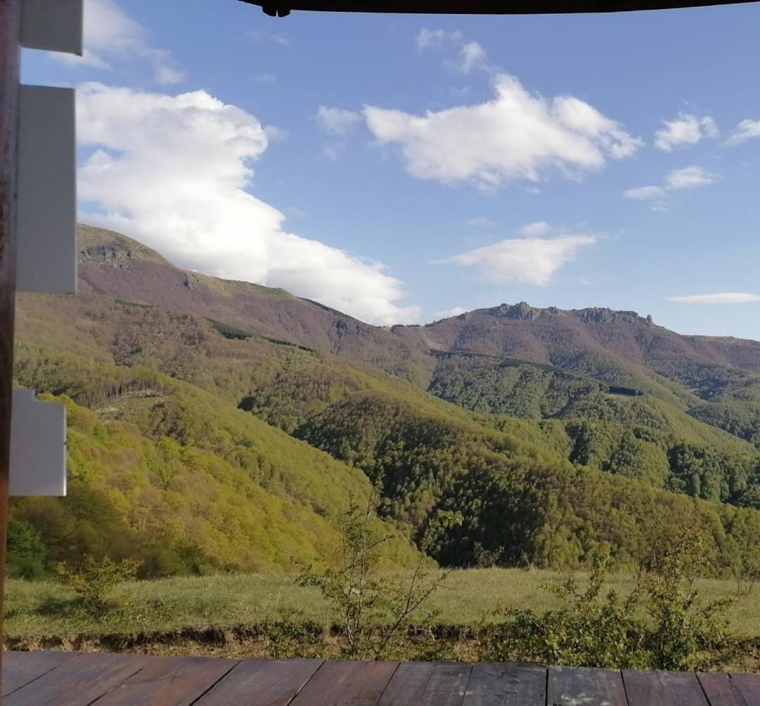 Std Cvetkovic Bed & Breakfast Crni Vrh Exterior foto