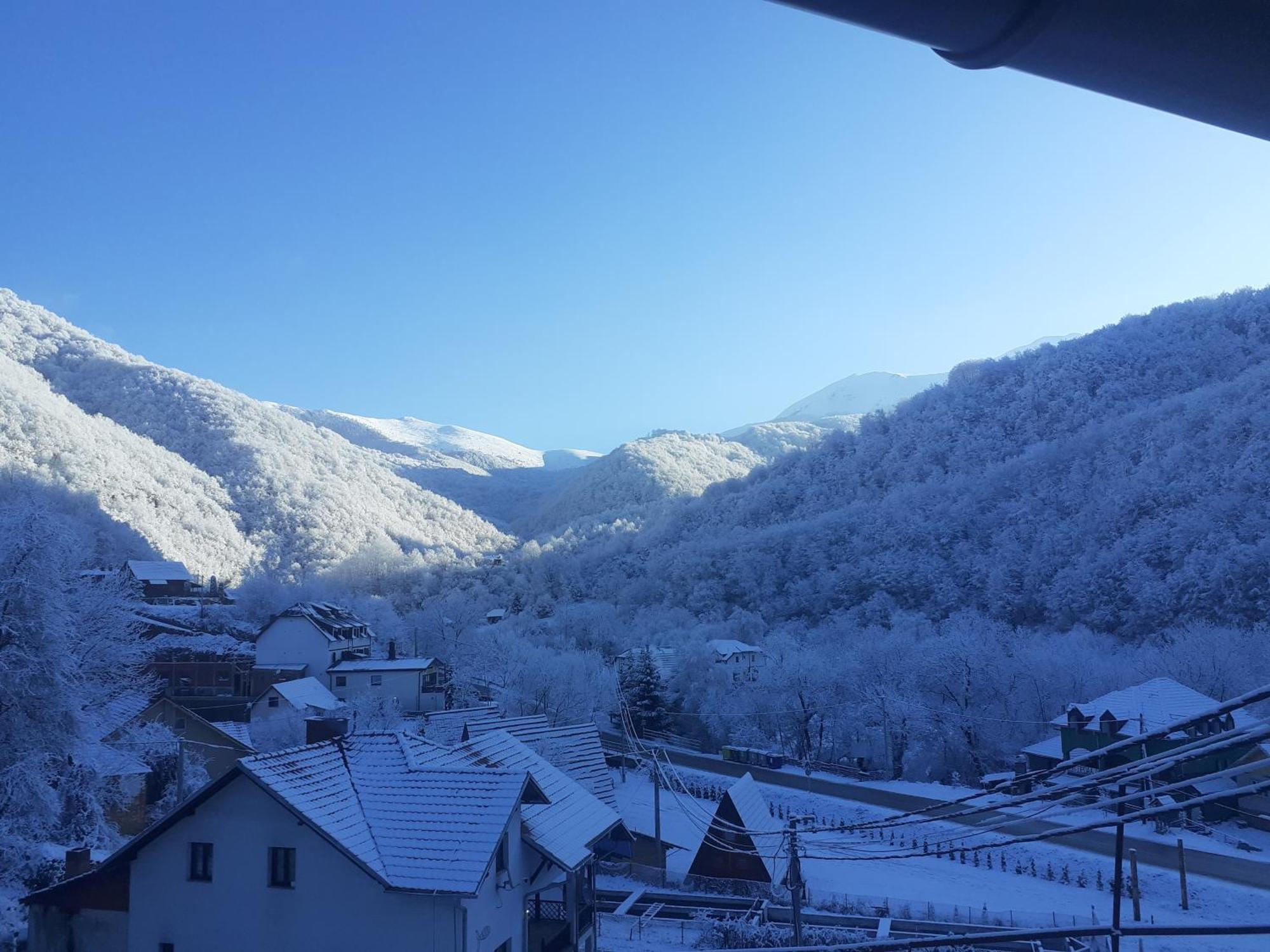 Std Cvetkovic Bed & Breakfast Crni Vrh Exterior foto